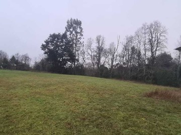 Venta / Terreno / Llanquihue