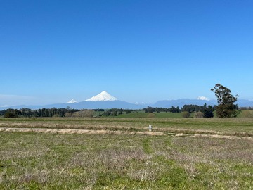 Venta / Terreno / Llanquihue