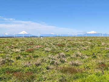 Venta / Terreno / Llanquihue