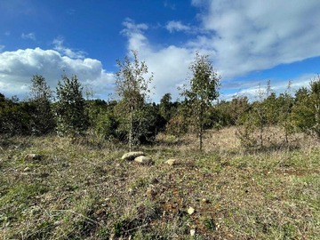 Venta / Terreno / Llanquihue