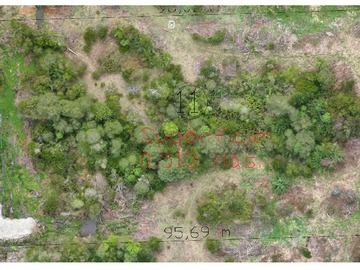 Venta / Terreno / Llanquihue