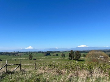 Venta / Terreno / Llanquihue