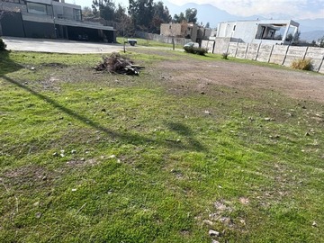 Imagen 10