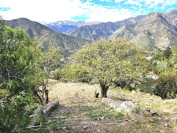 Venta / Terreno / Lo Barnechea