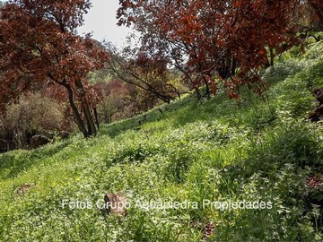 Imagen 11