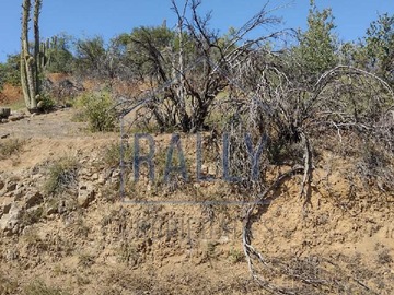 Venta / Terreno / Lo Barnechea