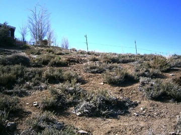 Venta / Terreno / Lo Barnechea