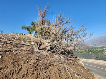 Imagen 7