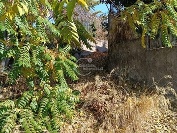 Imagen 8