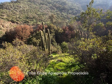 Imagen 12