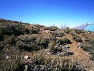 Imagen 6