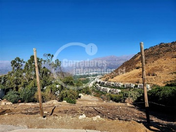 Imagen 11