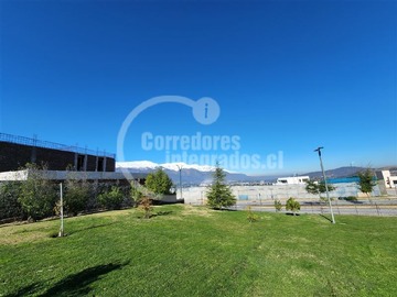 Imagen 7