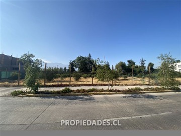 Imagen 9