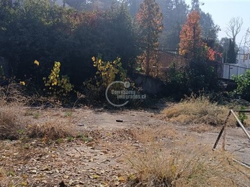 Imagen 14