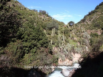 Imagen 10