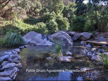 Imagen 19