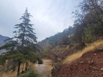 Imagen 6