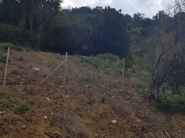 Imagen 10