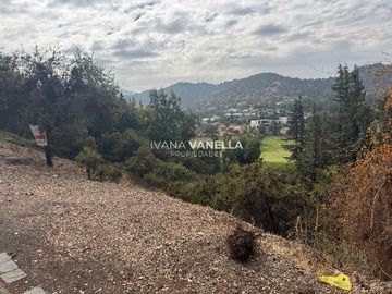 Imagen 6