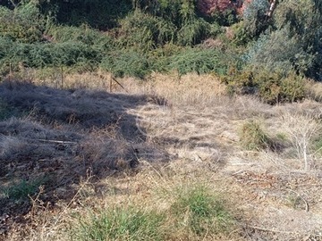Imagen 12