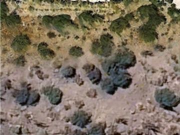 Imagen 4