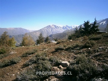 Imagen 8