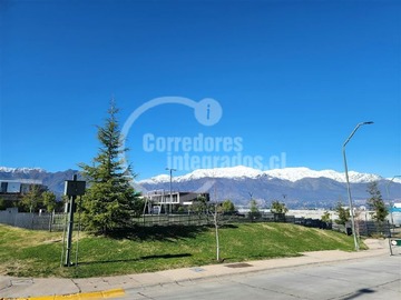 Imagen 5