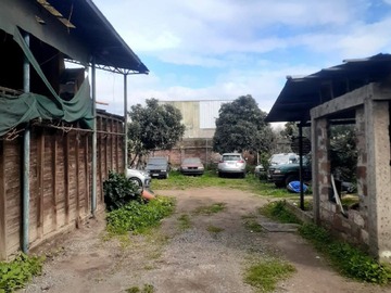 Imagen 7