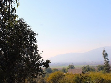 Imagen 9