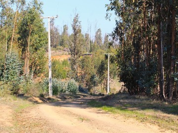 caminos interiores