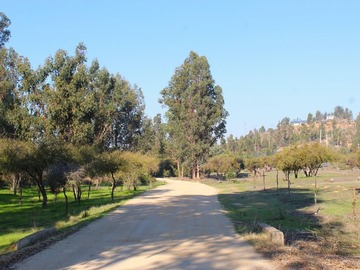 Imagen 27