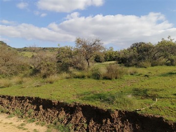 Imagen 19