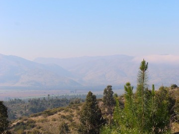 Vistas