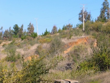 Vistas