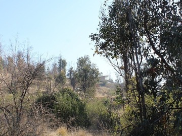 Vista desde el terreno