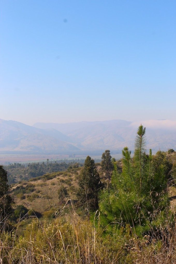 Vistas