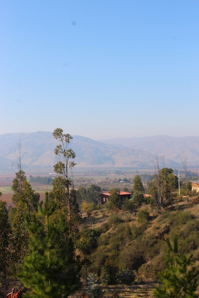 Vistas