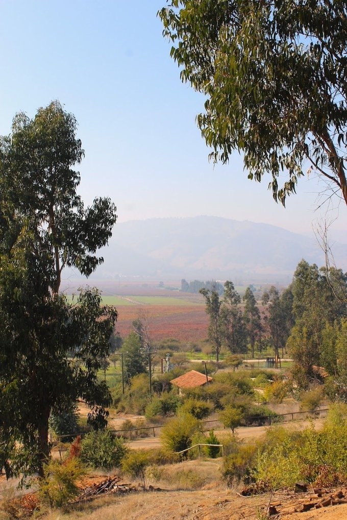 Vista desde el terreno