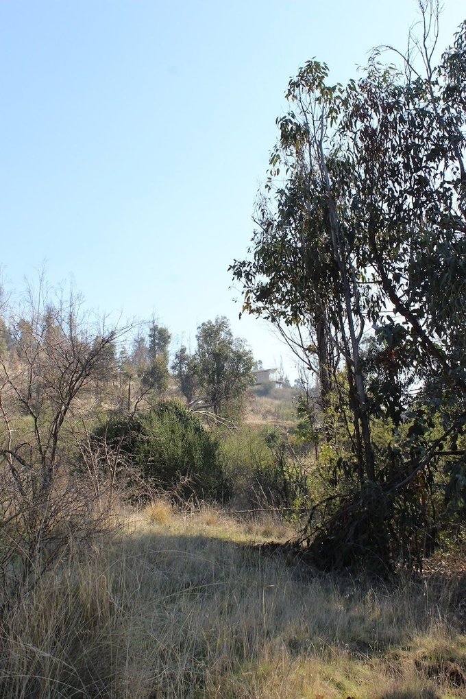Vista desde el terreno