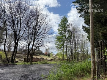 Venta / Terreno / Loncoche