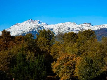 Venta / Terreno / Longaví