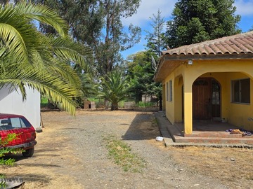Imagen 6