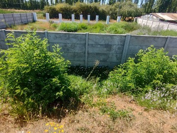 Venta / Terreno / Longaví