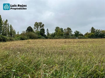 Venta / Terreno / Longaví