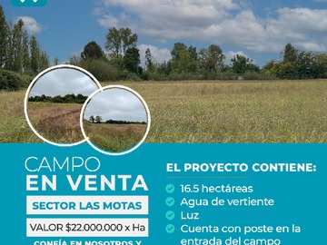 Imagen 8