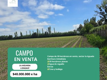 Venta / Terreno / Longaví