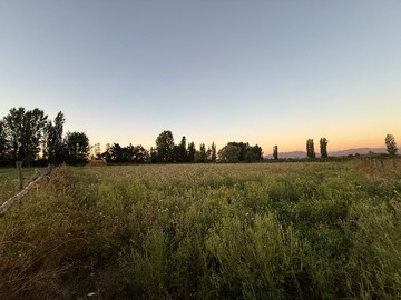 Venta / Terreno / Longaví