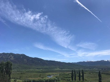 Venta / Terreno / Lonquimay