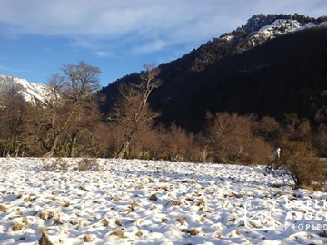 Venta / Terreno / Lonquimay